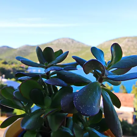 Appartamento Marijana Portorus Lastovo